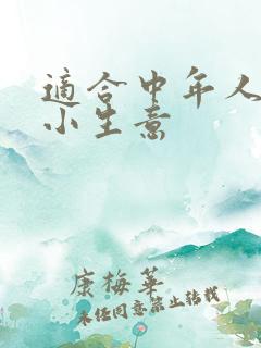 适合中年人做的小生意