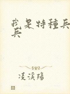 我是特种兵之狼兵