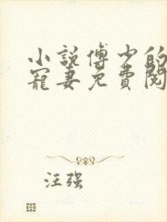 小说傅少的心尖宠妻免费阅读