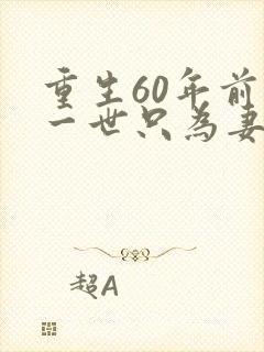 重生60年前这一世只为妻儿短剧全集免费