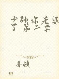 少帅你老婆又跑了 第二季