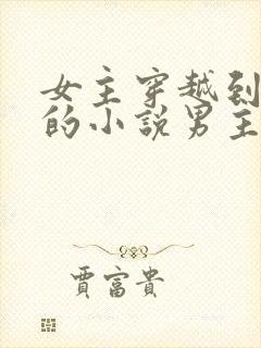 女主穿越到古代的小说男主是王爷