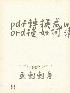 pdf转换成word后如何清除格式