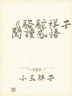 《骆驼祥子》的阅读感悟