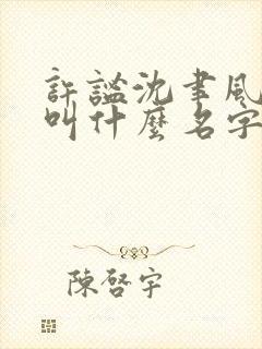 许谧沈聿风小说叫什么名字