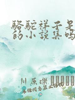 骆驼祥子是鲁迅的小说集吗