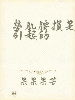 劳肌腰损是什么引起的