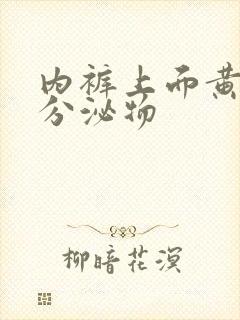 内裤上面黄黄的分泌物