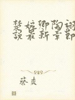 楚婉卿陶翊明小说最新章节免费阅读