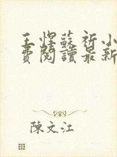 王悍苏祈小说免费阅读最新章节无弹窗