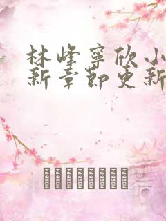 林峰宁欣小说最新章节更新