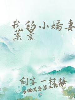 我的小娇妻霍昊叶晨