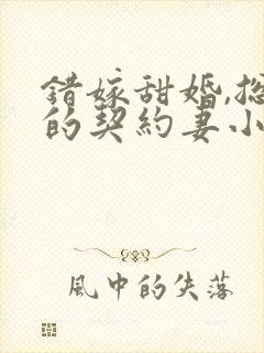 错嫁甜婚,总裁的契约妻小说