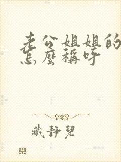 老公姐姐的丈夫怎么称呼