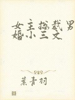 女主总裁男主已婚小三文