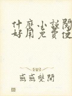 什么小说阅读器好用免费使用