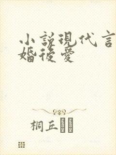 小说现代言情先婚后爱