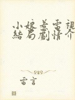 小娘惹电视剧大结局剧情介绍