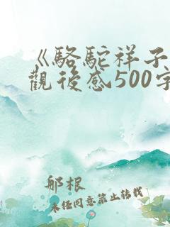 《骆驼祥子》的观后感500字