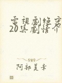 电视剧绝密隐私20集剧情介绍