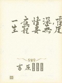 一夜情深,霍先生宠妻无度全书