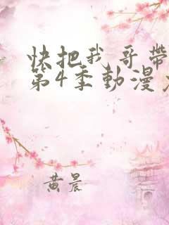 快把我哥带走 第4季动漫免费看