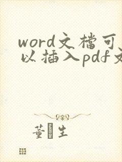 word文档可以插入pdf文件么