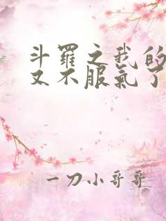 斗罗之我的系统又不服气了小说免费看