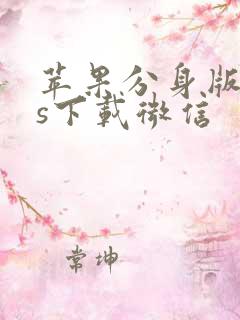 苹果分身版ios下载微信