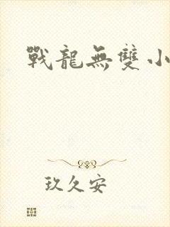 战龙无双小说版