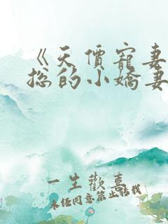 《天价宠妻:霍总的小娇妻》