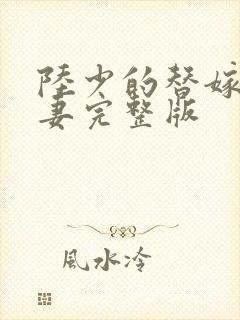 陆少的替嫁小娇妻完整版