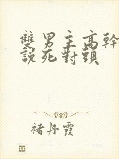 双男主高干文小说死对头