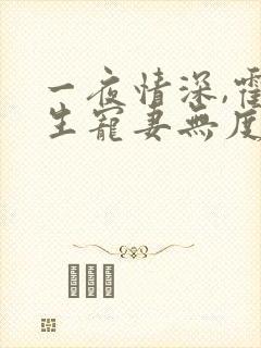 一夜情深,霍先生宠妻无度全集小说