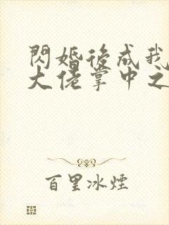 闪婚后成我成了大佬掌中之物