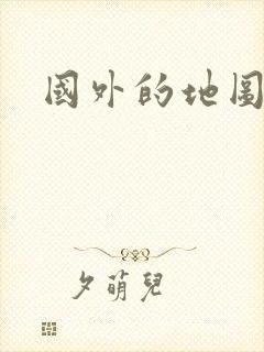 国外的地图导航