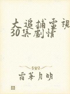 大追捕电视剧全30集剧情