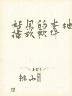 好用的本地视频播放软件