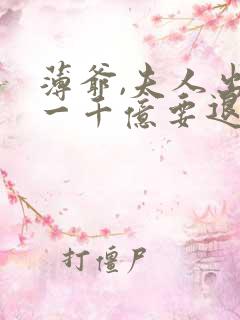 薄爷,夫人出价一千亿要退婚小说听书