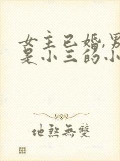 女主已婚,男主是小三的小说