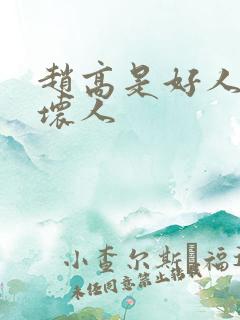 赵高是好人还是坏人