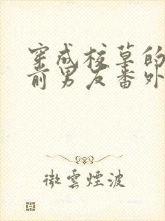 穿成校草的炮灰前男友番外