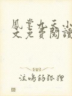 凤掌九天小说全文免费阅读