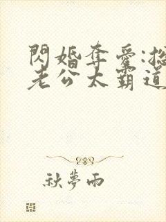 闪婚夺爱:总裁老公太霸道