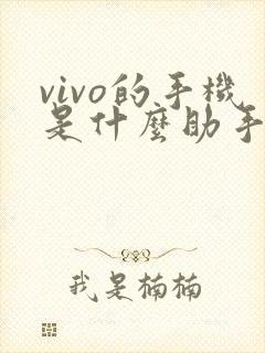 vivo的手机是什么助手