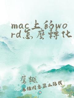 mac上的word怎么转化成pdf