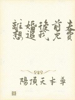 离婚后前夫总是想追我免费观看