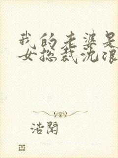 我的老婆是冰山女总裁沈浪最新