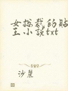 女总裁的贴身兵王小说txt