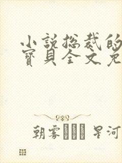 小说总裁的私有宝贝全文免费阅读